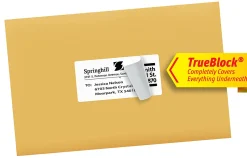 Avery® TrueBlock® Shipping Labels With Sure Feed® Technology, 8363, Rectangle, 2
