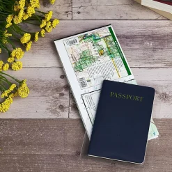 Avery® Vinyl File Envelopes, Passbook/Passport Holder, Holds Up To 30 Sheets, 4