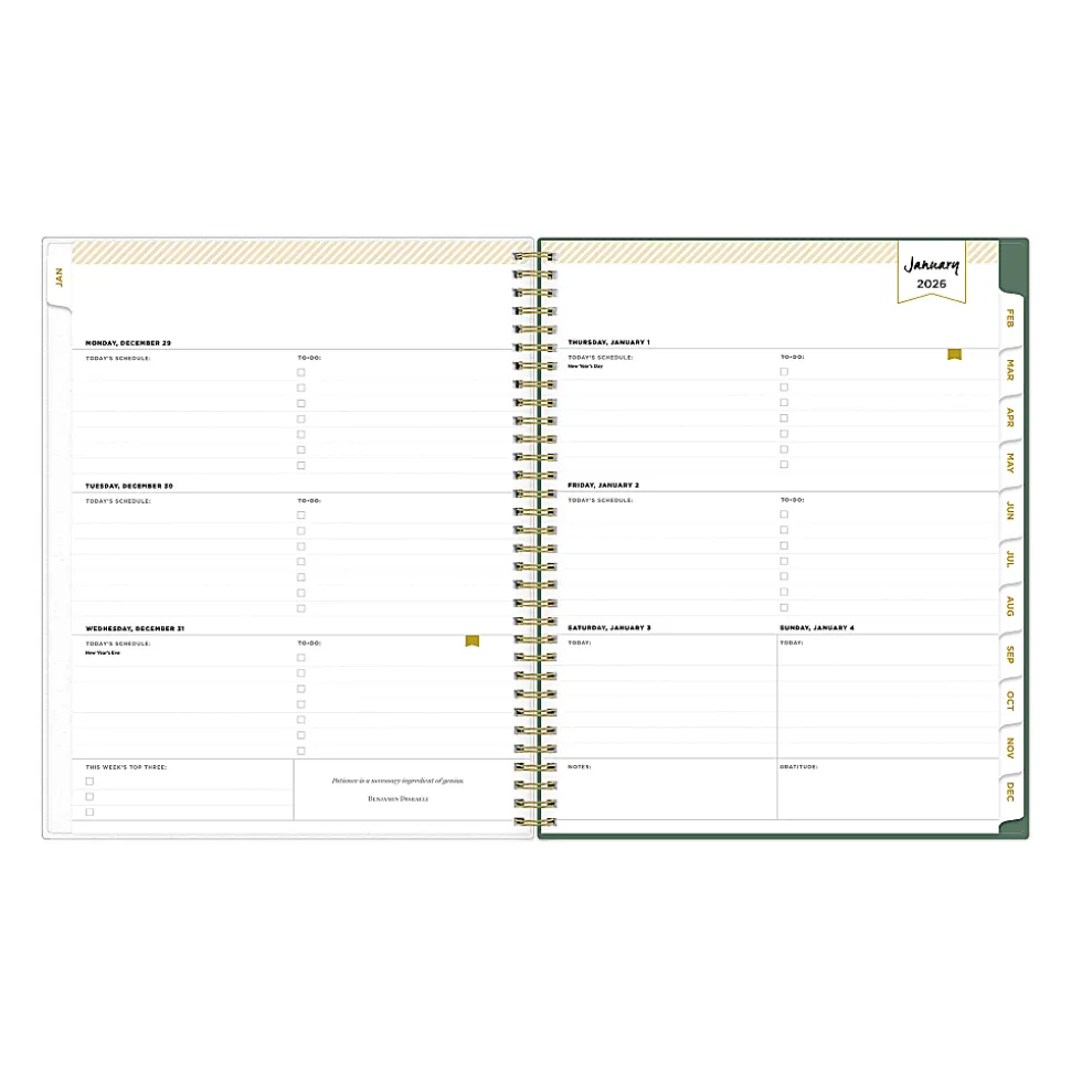 2026 Blue Sky Day Designer Weekly/Monthly Planner, 8-1/2” x 11", London Rose, January To December, 155629