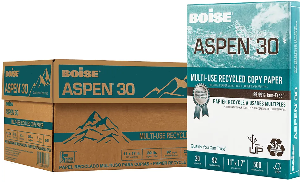 Boise® ASPEN® 30 Multi-Use Printer & Copy Paper, 5 Reams, White, Ledger (11" x 17"), 2500 Sheets Per Case- 054907-CTN