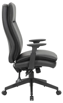 Boss Office Products Caressoft Executive Ergonomic High-Back Chair, Black