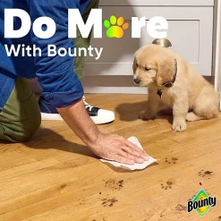 Bounty Select-A-Size 2-Ply Double-Roll Paper Towels, 2 Triple Rolls/123 Sheets Per Roll, White