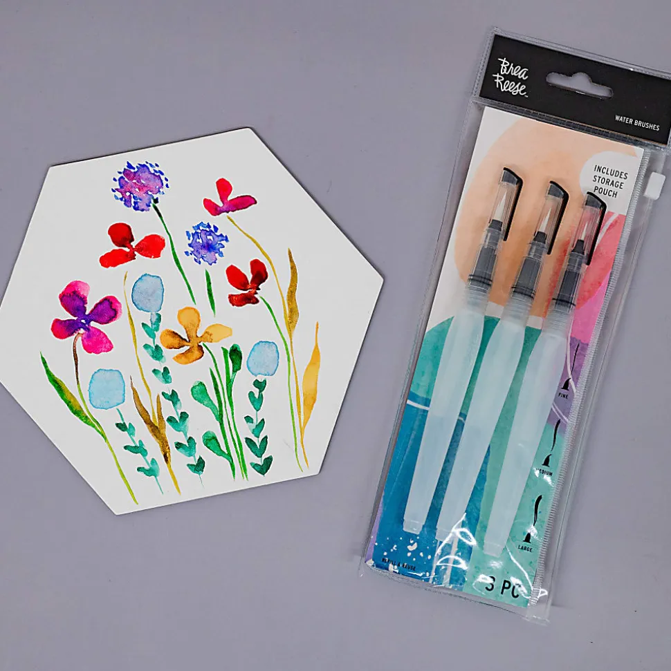 Brea Reese 3-Piece Water Brushes Set, Clear