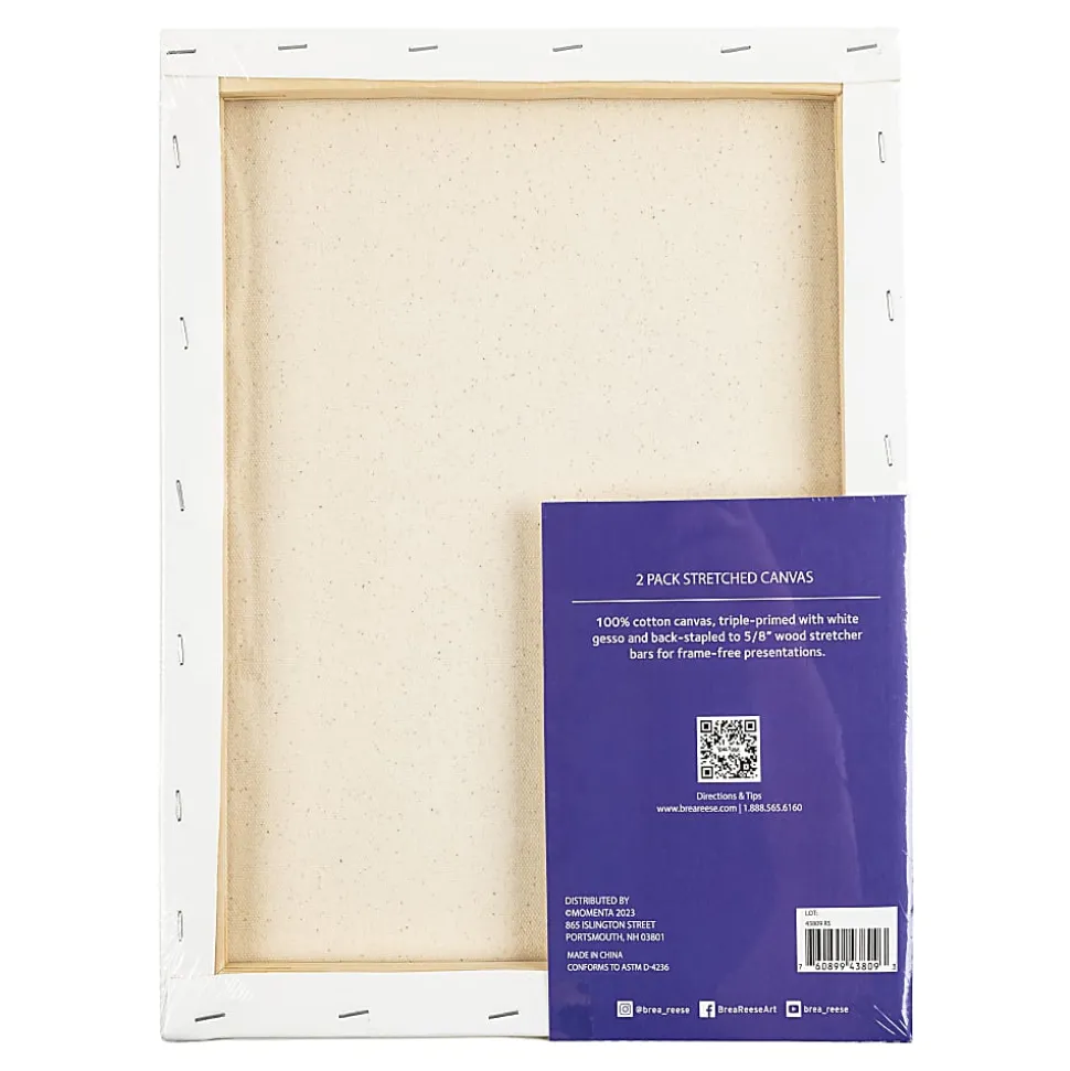 Brea Reese Stretch Canvases, 11" x 14", White, Pack Of 2 Canvases