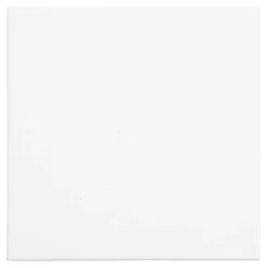 Brea Reese Stretch Canvases, 8
