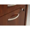 Bush Business Furniture Series C Components 2 Drawer Mobile File Cabinet, Hansen Cherry/Graphite Gray, Standard Delivery (Assembly Required)