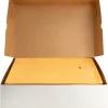 Business Source Heavy-duty Clasp Envelopes - Clasp - #93 - 9 1/2" Width x 12 1/2" Length - 28 lb - Clasp - Kraft - Kraft - 100 / Box