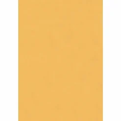 Business Source Heavy-duty Metal Clasp Envelopes - Clasp - #55 - 6