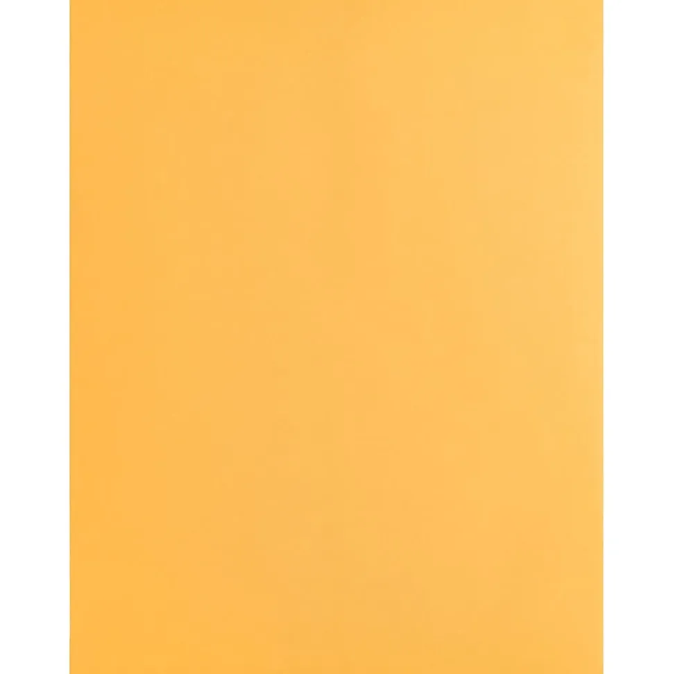 Business Source Kraft Gummed Catalog Envelopes - Catalog - #10 1/2 - 9" Width x 12" Length - 28 lb - Gummed - Kraft - Kraft - 250 / Box