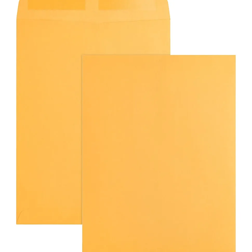 Business Source Kraft Gummed Catalog Envelopes - Catalog - #10 1/2 - 9" Width x 12" Length - 28 lb - Gummed - Kraft - Kraft - 250 / Box