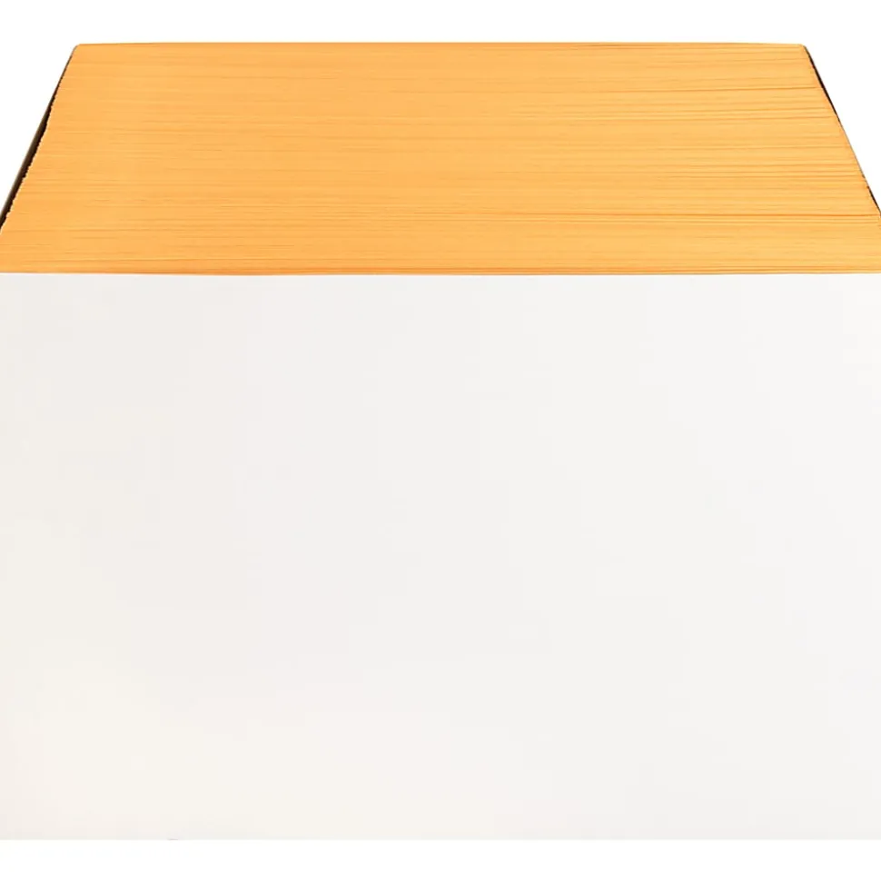 Business Source Kraft Gummed Catalog Envelopes - Catalog - #10 1/2 - 9" Width x 12" Length - 28 lb - Gummed - Kraft - Kraft - 250 / Box