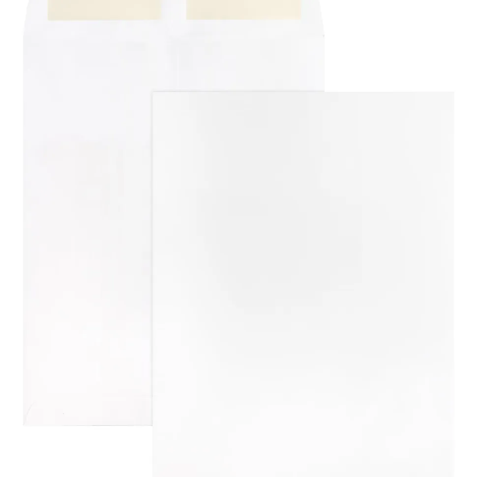 Business Source 28 lb. White Catalog Envelopes - Catalog - #10 1/2 - 9" Width x 12" Length - 28 lb - Gummed - White - Wove - 250 / Box