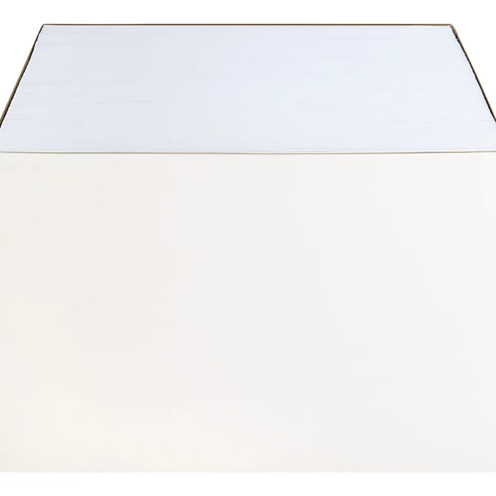 Business Source 28 lb. White Catalog Envelopes - Catalog - #10 1/2 - 9" Width x 12" Length - 28 lb - Gummed - White - Wove - 250 / Box
