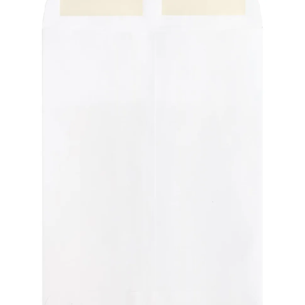 Business Source 28 lb. White Catalog Envelopes - Catalog - #10 1/2 - 9" Width x 12" Length - 28 lb - Gummed - White - Wove - 250 / Box
