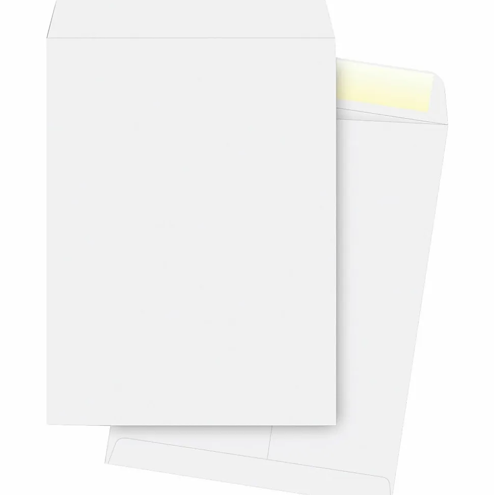 Business Source 28 lb. White Catalog Envelopes - Catalog - #13 1/2 - 10" Width x 13" Length - 28 lb - Gummed - White - Wove - 250 / Box