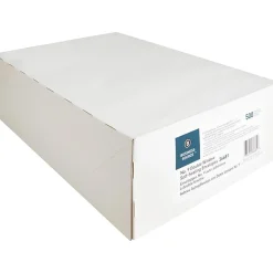 Business Source No. 9 Double Window Invoice Envelopes - Double Window - #9 - 8 7/8" Width x 3 7/8" Length - 24 lb - Self-sealing - White - 500 / Box