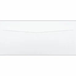 Business Source No. 10 Double-Window Invoice Envelopes - Double Window - #10 - 9 1/2