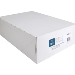 Business Source No.10 Standard Window Invoice Envelopes - Single Window - 9 1/2"x 4 1/2" - 24 lb - Self-sealing - White - Poly - 500 / Box - 42207