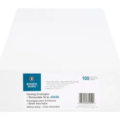 Business Source Self Sealing Catalog Envelope - Catalog - 9