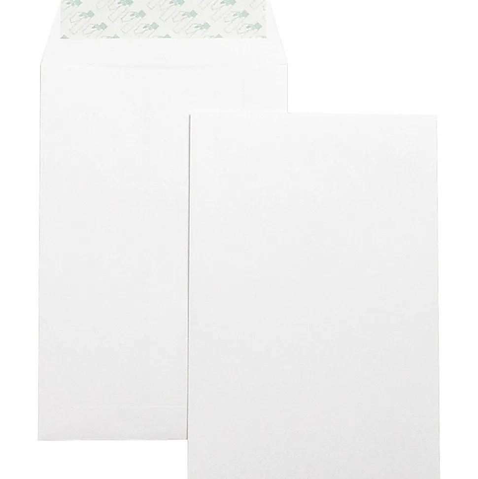 Business Source Self-Seal 6"x9" Catalog Envelopes - Catalog - 6" Width x 9" Length - 28 lb - Self-sealing - White - Wove - 100 / Box