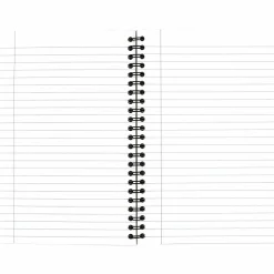 Cambridge® Limited® 30% Recycled Business Notebook, 4 7/8