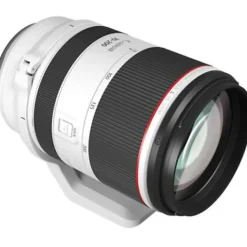 Canon - 70 mm to 200 mmf/2.8 - Telephoto Zoom Lens - 3792C002
