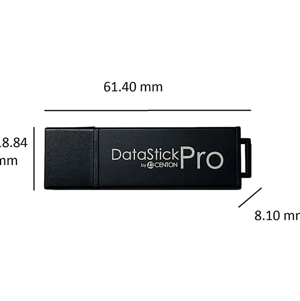 Centon DataStick Pro USB 2.0 Flash Drive, 4GB, Gray