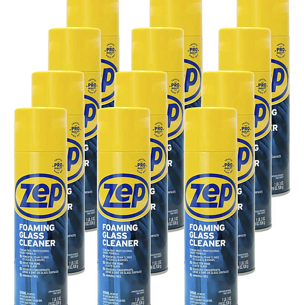 Chase Champion Foam Glass Cleaner Spray, 19 Oz Can, Case Of 12