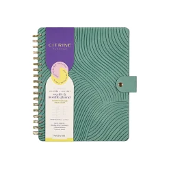 Citrine 12-Month Monthly/Weekly Classic Customizable Twin Loop Planner, 7