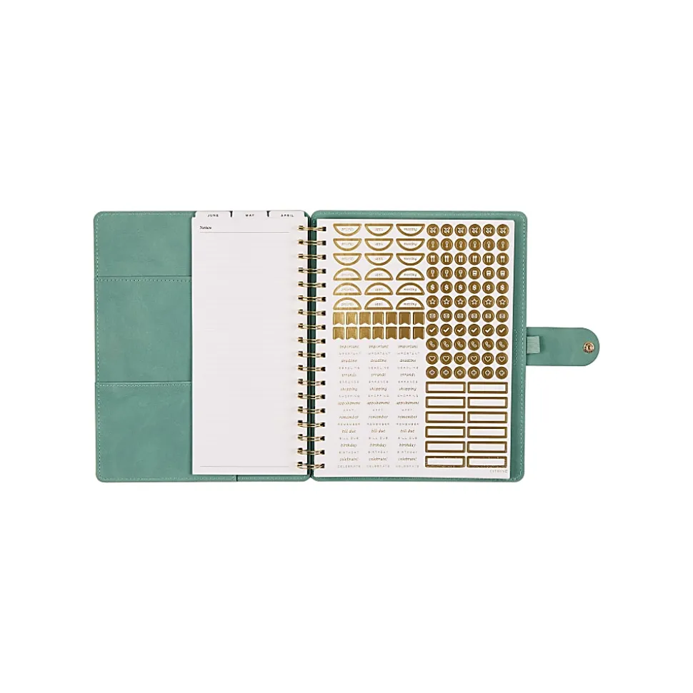 Citrine 12-Month Monthly/Weekly Classic Customizable Twin Loop Planner, 7" x 9-1/4", Sage Waves, July 2026-June 2027, Total Qty 1