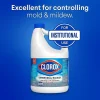 Clorox Germicidal Bleach Concentrate, Regular Scent, 121 Oz, White