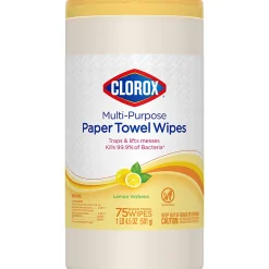 Clorox Paper Towel Wipes, 6-5/8