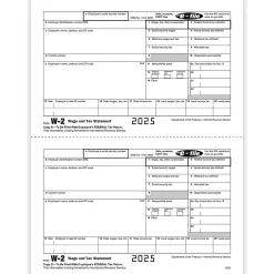ComplyRight® W-2 Tax Forms, Employee’s IRS Federal Copy B, 2-Up, 8-1/2" x 11", Pack Of 100 Forms