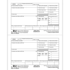 ComplyRight® W-2 Tax Forms, Employer’s Copy D and/or State, City Or Local Copy 2, 2-Up, 8-1/2" x 11", Pack Of 100 Forms
