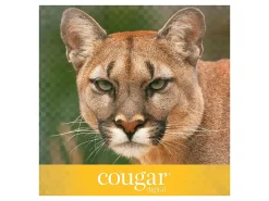 Cougar® Digital Printing Paper, 8 Reams, Letter Size (8 1/2" x 11"), 98 (U.S.) Brightness, 70 Lb Text (104 gsm), FSC® Certified, 500 Sheets Per Ream
