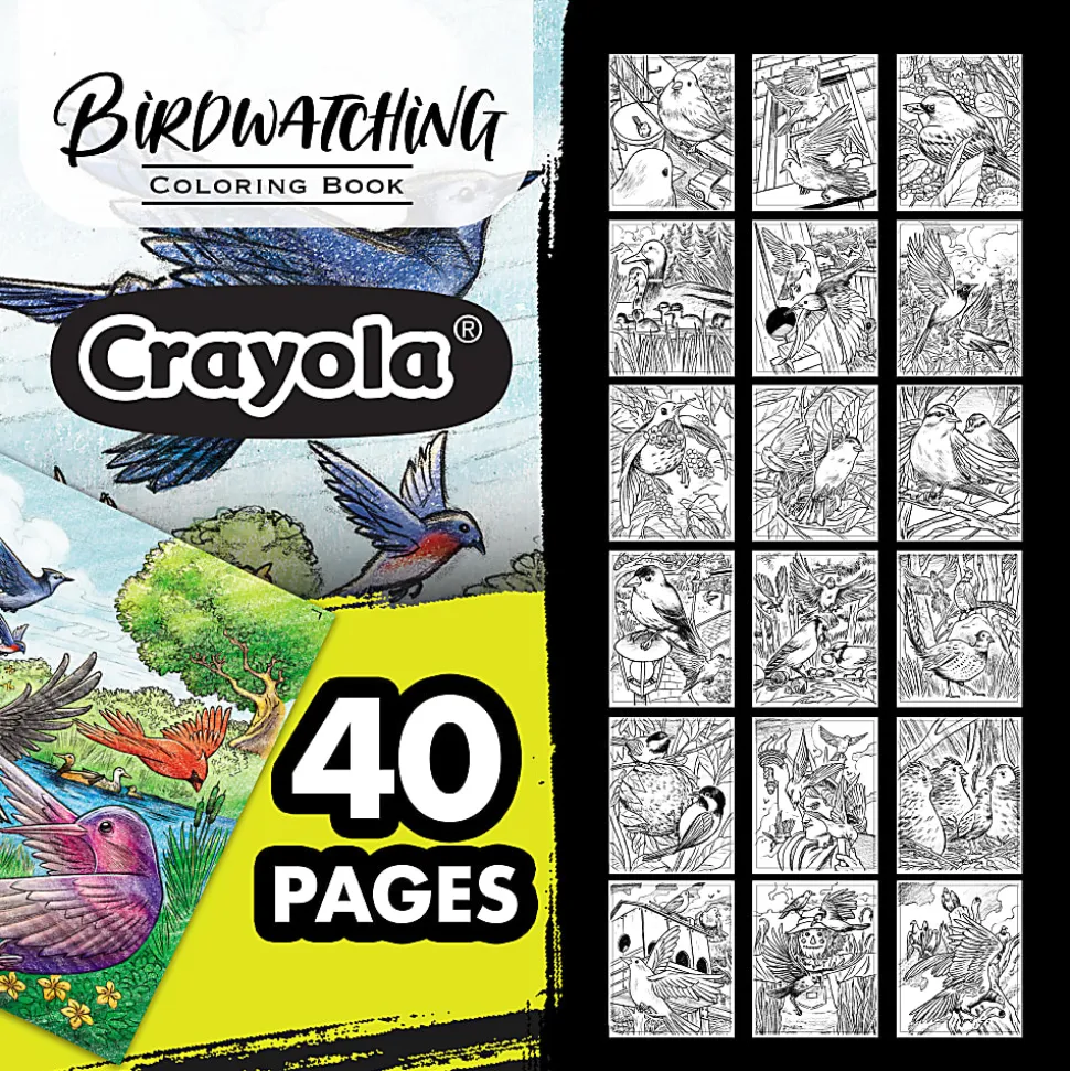 Crayola 40pg. Bird Watching Coloring