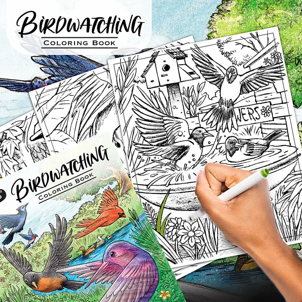 Crayola 40pg. Bird Watching Coloring