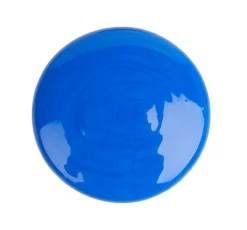 Crayola® Washable Paint, 2 Oz, Blue