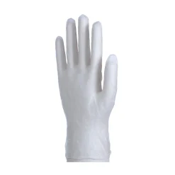 Daxwell Vinyl Powder Gloves, Large, Clear, 10 Gloves Per Pack, Box Of 10 Packs