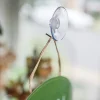 Deflecto® Suction Cups With Hook, 1 3/4", Clear, Pack Of 25
