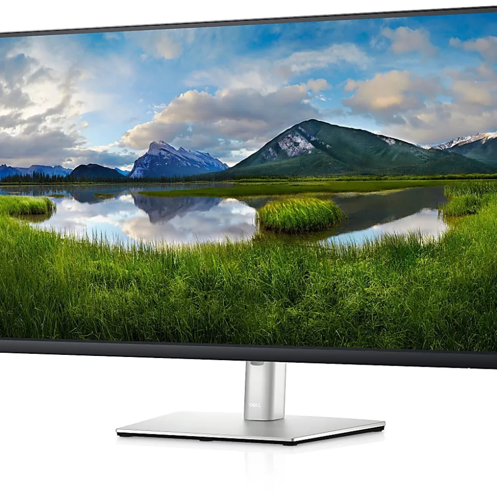 Dell P3221D - LED monitor - 31.5" - 2560x 1440 QHD @ 60 Hz - IPS - 350 cd/m² - 1000:1 - 5 ms - HDMI, DisplayPort, US - DELLP3221D