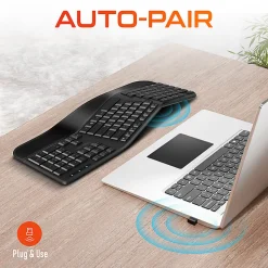 Delton KB200 Ergonomic Wrist Rest Wireless Keyboard With USB Dongle, Black