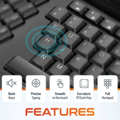 Delton KB200 & S18 Ergonomic Wireless Battery Keyboard And Mouse Set, Black, Total Qty 1