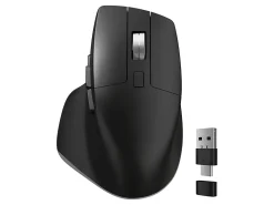 Delton S18 Ergonomic Wireless Mouse With USB-A/USB-C Dongle, Black