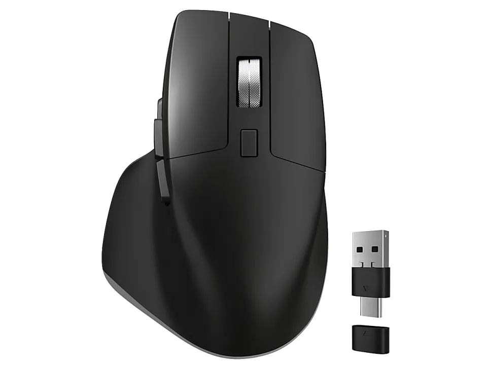 Delton S18 Ergonomic Wireless Mouse With USB-A/USB-C Dongle, Black