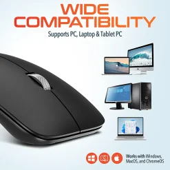 Delton S10 Wireless Optical Computer Mouse, Black