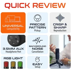 Delton U3000 USB Condenser Computer Microphone
