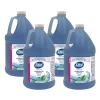 Dial® Antibacterial Foaming Hand Wash Refill, Spring Water Scent, 1 gal, 4/Carton