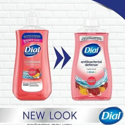 Dial Pomegranate Tangerine Antibacterial Hand Soap - Pomegranate & Tangerine Scent - 11 fl oz - Bacteria Remover, Residue Remover - 20943