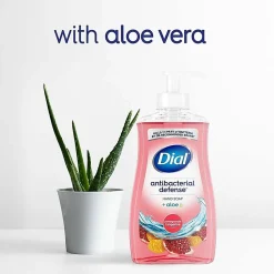 Dial Pomegranate Tangerine Antibacterial Hand Soap - Pomegranate & Tangerine Scent - 11 fl oz - Bacteria Remover, Residue Remover - 20943